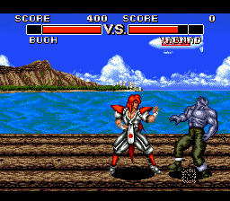 Deadly Moves screenshot 5 for Sega Genesis